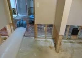 A recent home mold remediation job in the  area