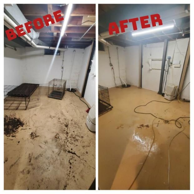 A recent water damage restoration company job in the  area