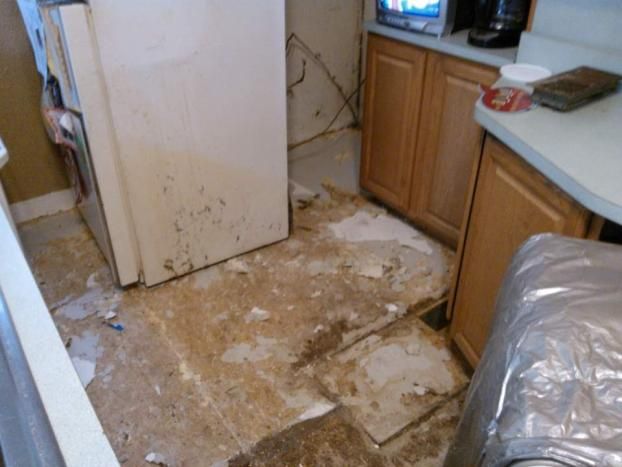 A recent home mold remediation job in the  area